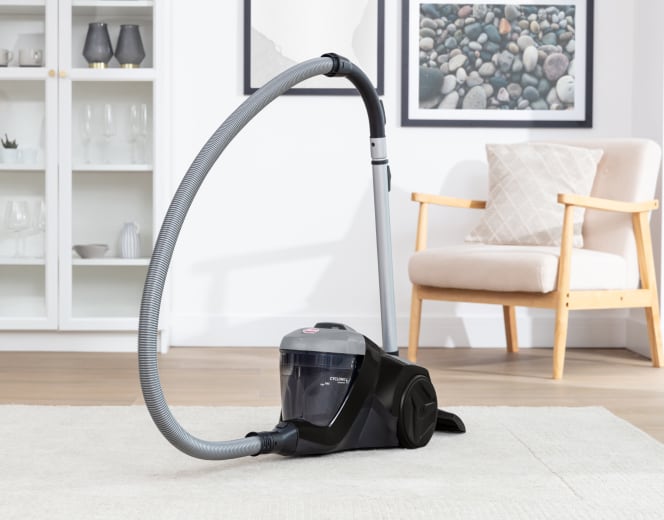 Aspirateur hoover pet hot sale