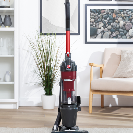 Friends & Family Exclusive Hoover Upright Vacuum Cleaner - Upright 300